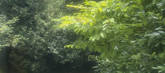 7غرفة تاون هاوس في Lorrach, Germany رقم 231540 9