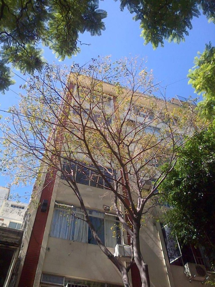 2 bedrooms Apartment in Buenos Aires, Argentina No. 77198