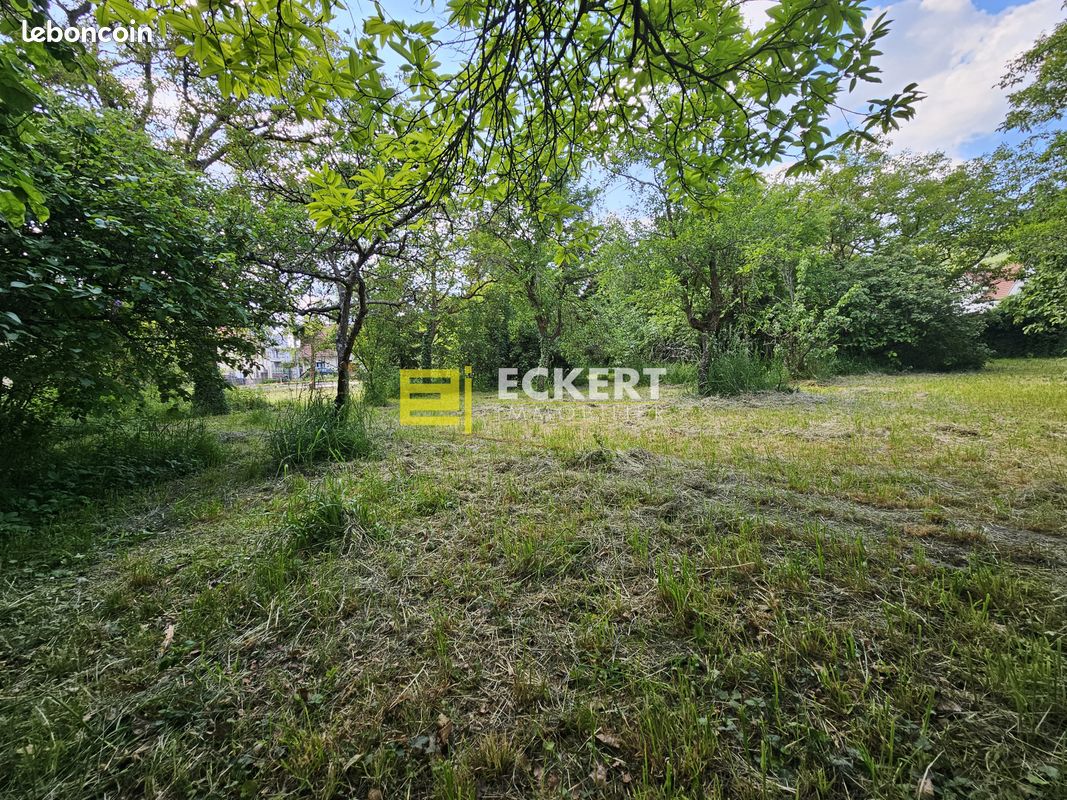 Terrain à Mutzig, France 800m² No. 159592