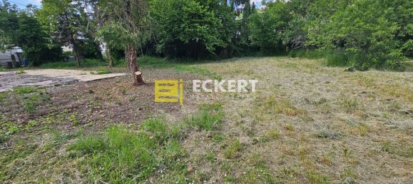 Terrain à Mutzig, France 800m² No. 159592 4