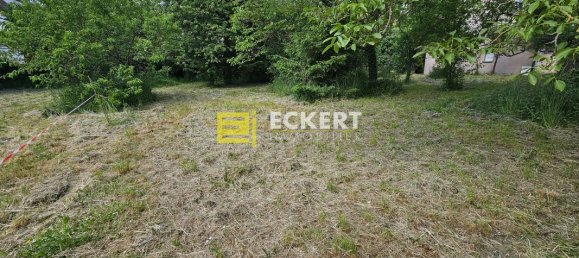 Terrain à Mutzig, France 800m² No. 159592 2