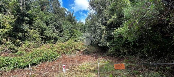 Terreno em Torri in Sabina, Italy 50300 m² N.º 110395 10