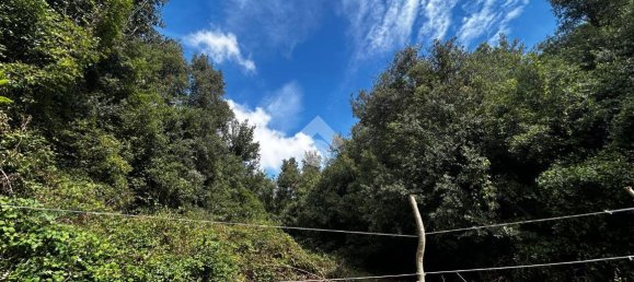 Terreno em Torri in Sabina, Italy 50300 m² N.º 110395 7