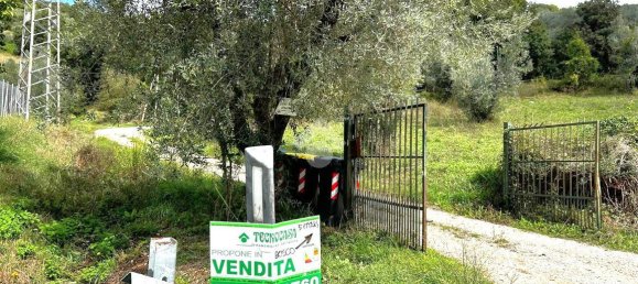 Terreno em Torri in Sabina, Italy 50300 m² N.º 110395 13