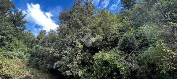 Terreno em Torri in Sabina, Italy 50300 m² N.º 110395 8