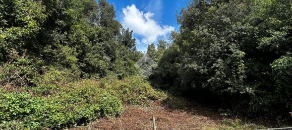 Terreno em Torri in Sabina, Italy 50300 m² N.º 110395 2