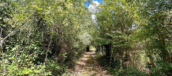 Terreno em Torri in Sabina, Italy 50300 m² N.º 110395 4