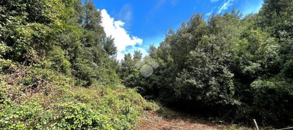 Terreno em Torri in Sabina, Italy 50300 m² N.º 110395 11