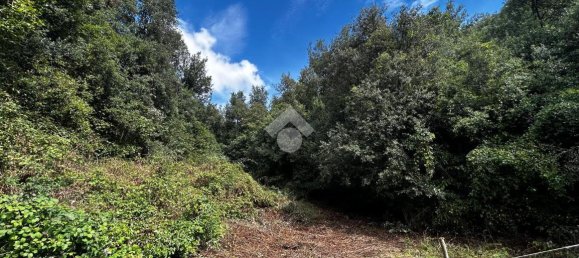 Terreno em Torri in Sabina, Italy 50300 m² N.º 110395 9