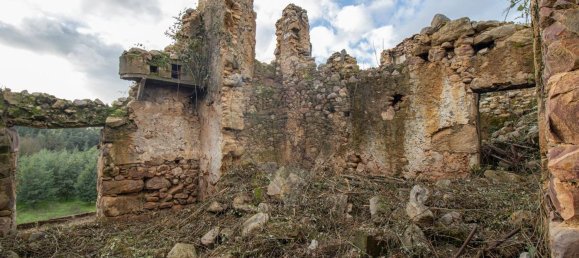 1 غرف نوم منزل في Gois, Portugal رقم 83381 7