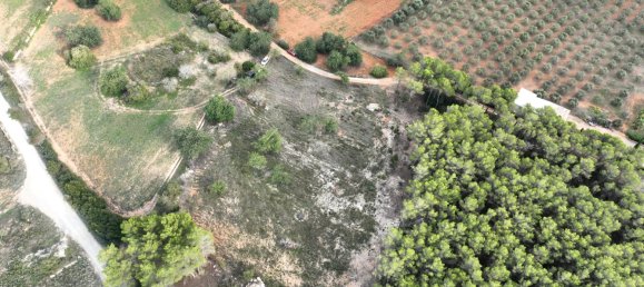  Land in Ibiza, Spain No. 162925 7