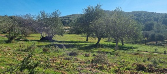  Land in Ibiza, Spain No. 162925 10