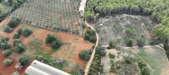  Land in Ibiza, Spain No. 162925 4