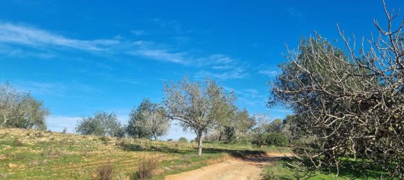  Land in Ibiza, Spain No. 162925 8