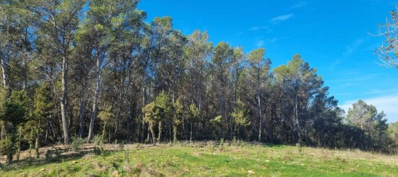  Land in Ibiza, Spain No. 162925 11