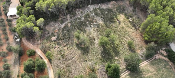  Land in Ibiza, Spain No. 162925 6