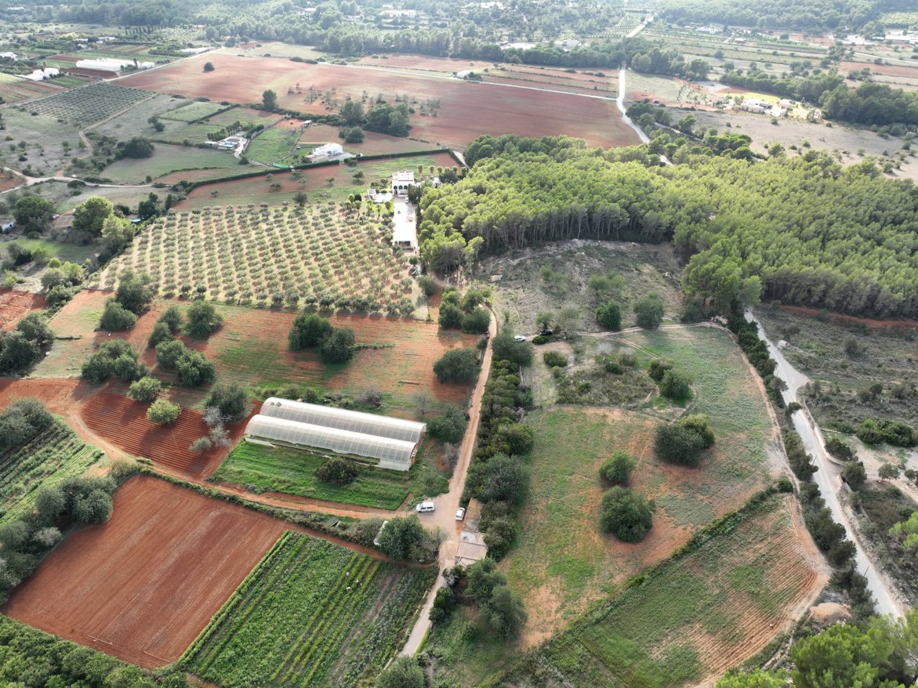  Land in Ibiza, Spain No. 162925