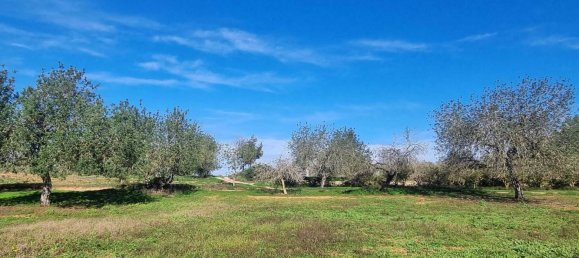  Land in Ibiza, Spain No. 162925 9