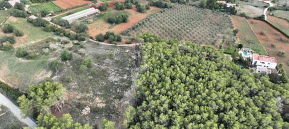  Land in Ibiza, Spain No. 162925 5