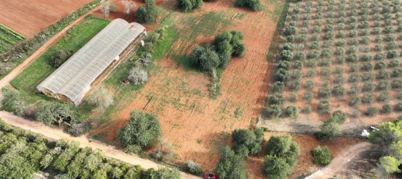  Land in Ibiza, Spain No. 162925 3