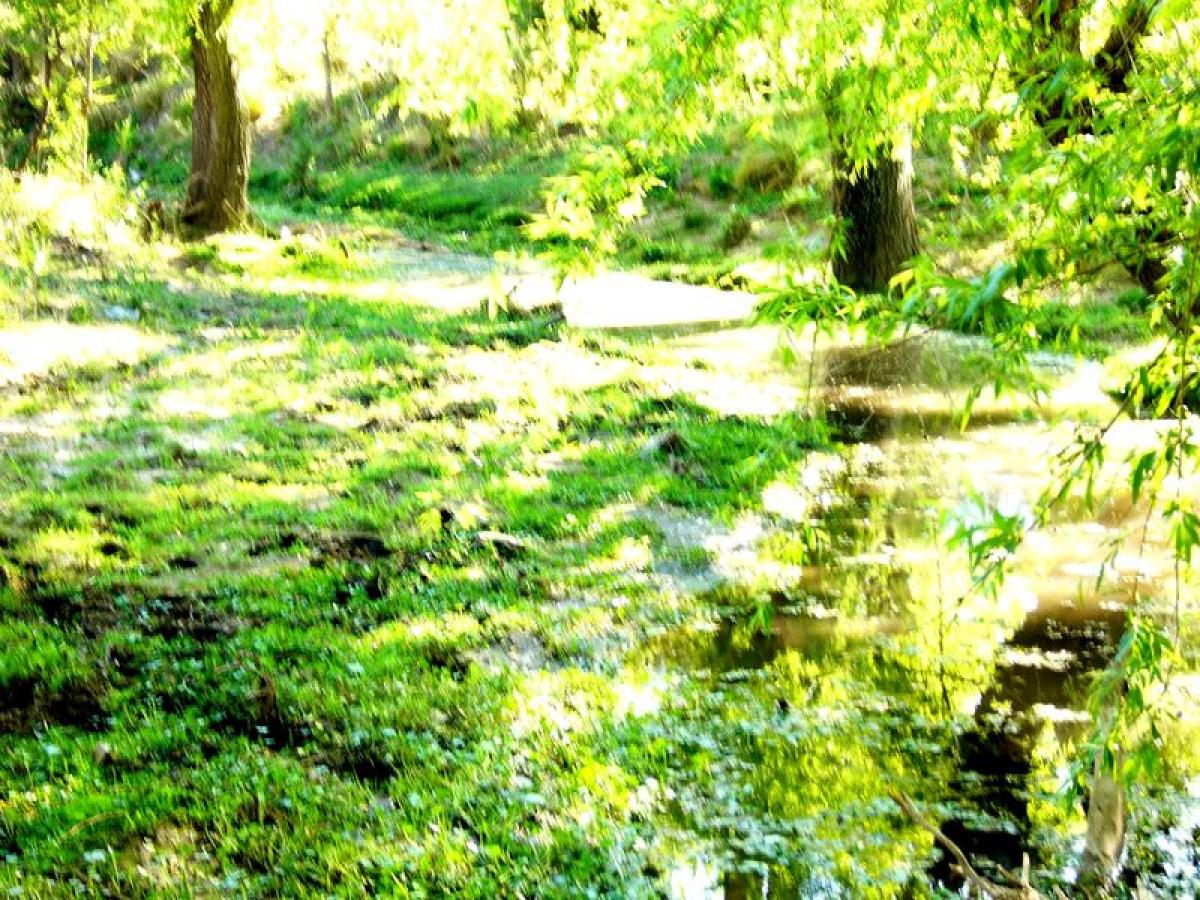 Grundstück in Cordoba, Argentina, Nr. 31455