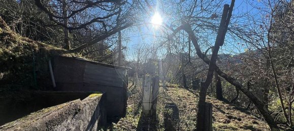 Дом с 3 спальнями в Селорику ди Башту, Португалия № 41728 8