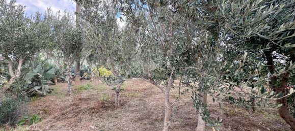 Villa de 3 habitaciónes en Ostuni, Italy No. 17504 16