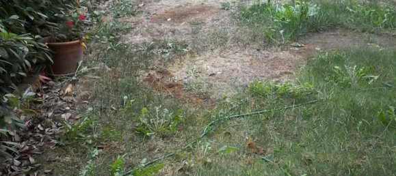 9 rooms House in Minerbe, Italy No. 142685 2