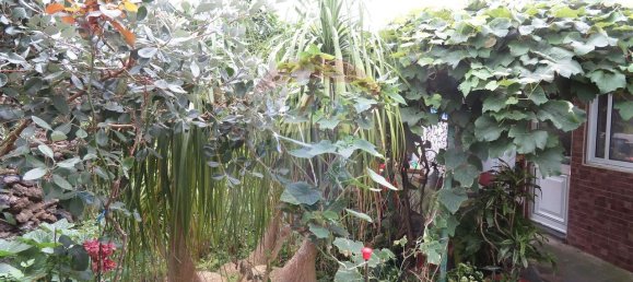 4 bedrooms House in Lagoa, Portugal No. 46785 20