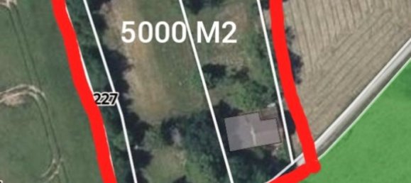 1 bedroom House in Herry, France No. 239582 11