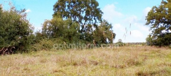 1 bedroom House in Herry, France No. 239582 9