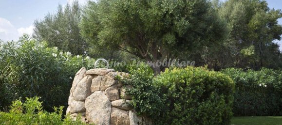 Вилла с 3 спальнями в Палау, Италия № 232515 33