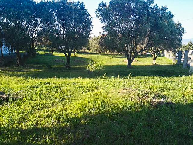 2670m² Hotel in Thermaic Gulf, Greece No. 5111