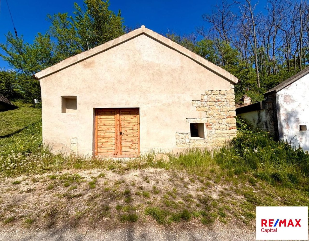 Propiedad comercial en Sitzendorf an der Schmida, Austria 160 m² No. 137991