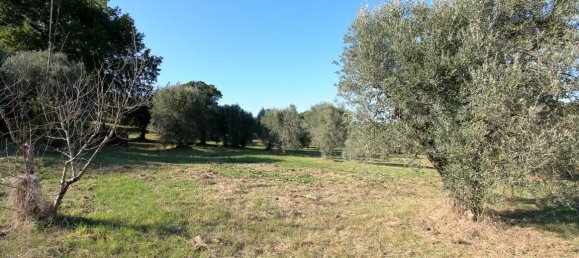 Casa T2 em Amelia, Italy N.º 49643 8