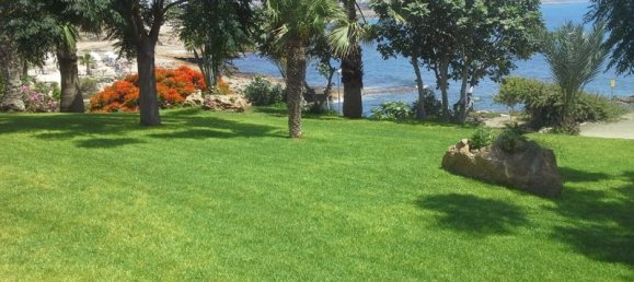 6 chambres Villa à Chloraka, Cyprus No. 16594 2