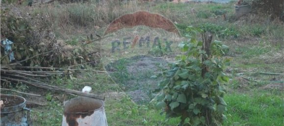 1 غرف نوم منزل في Peso da Regua, Portugal رقم 184468 2