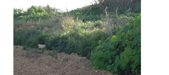 Grundstück in Almada, Portugal, Nr. 140361 14