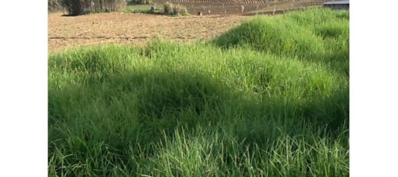 Grundstück in Almada, Portugal, Nr. 140361 17