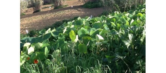 Grundstück in Almada, Portugal, Nr. 140361 21