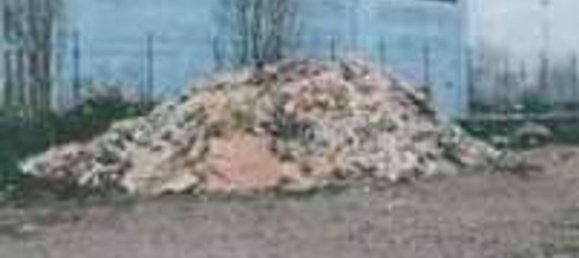 4 bedrooms Villa in Viadana, Italy No. 381824 17