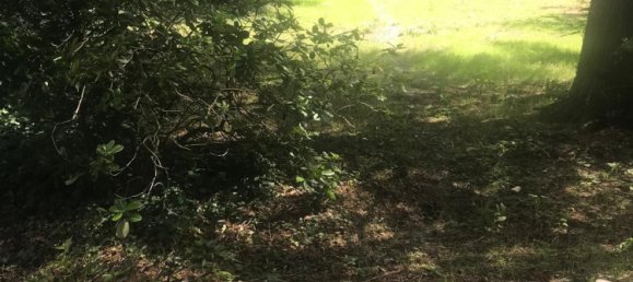 Moradia em banda de 3 divisões em Lichtenrade, Germany N.º 287939 3