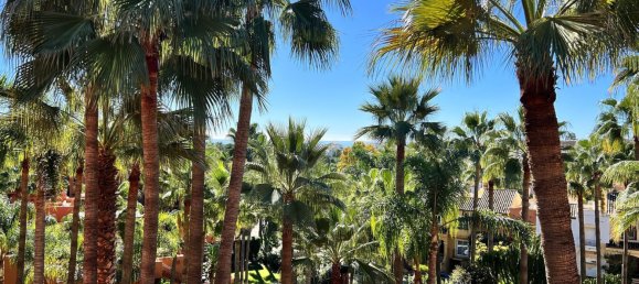 3 غرف نوم بانتهاوس في Marbella, Spain رقم 146712 23