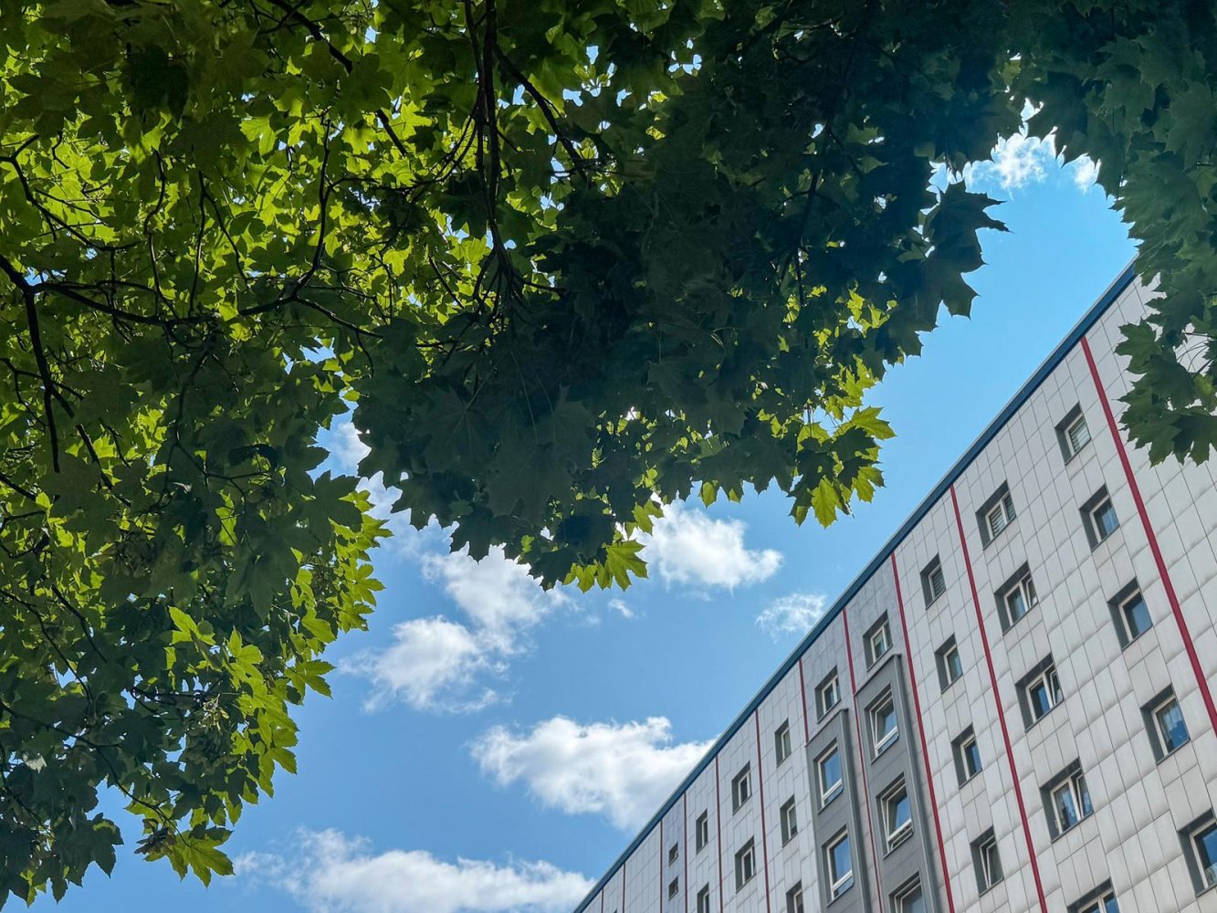 2 bedrooms Apartment in Friedrichshain, Germany No. 277442