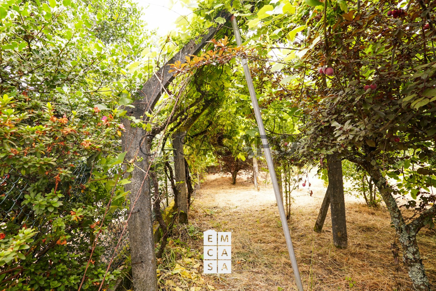 4 chambres Maison à Macieira de Sarnes, Portugal No. 288045