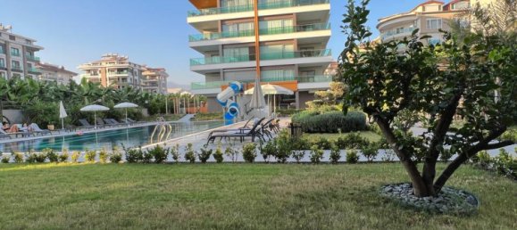 Apartment 2+1 in Kestel, Turkey No. 11341 23