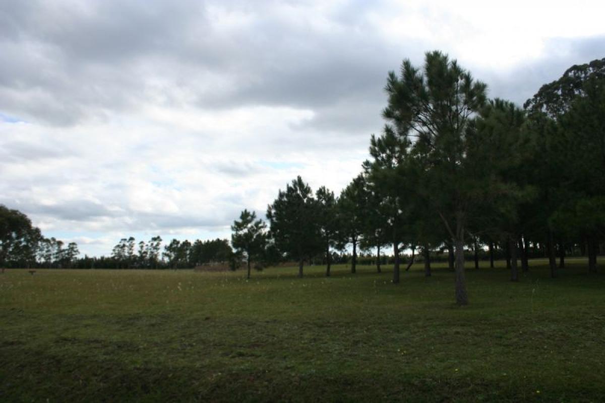 Terreno en Maldonado, Uruguay No. 16163