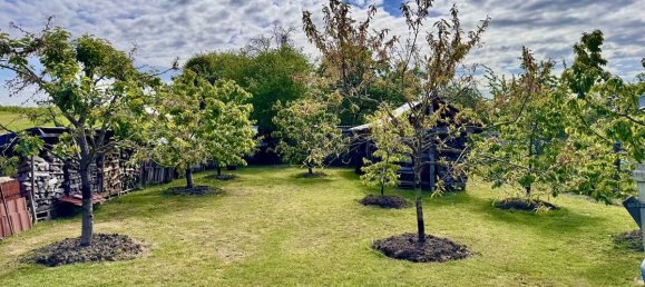 Casa de 4 divisões em Vorpommern-Greifswald, Germany N.º 337220 7