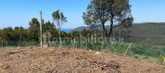 9 bedrooms Villa in Livorno, Italy No. 81493 5