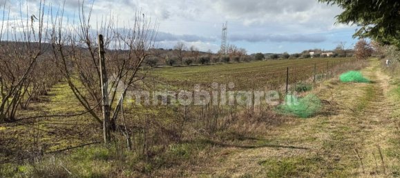 5 rooms Building in Castiglione del Lago, Italy No. 138068 39